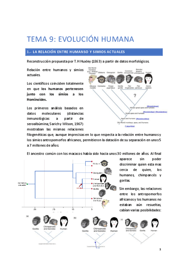 Miniatura del documento TEMA-9.pdf