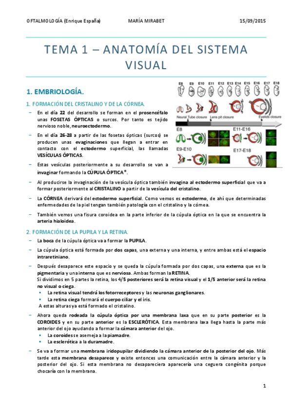 Miniatura del documento TEMA-1-anatomia-del-sistema-visual-1.pdf