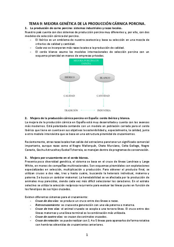 Miniatura del documento Tema-9-Mejora-genetica-de-la-produccion-carnica-porcina.pdf