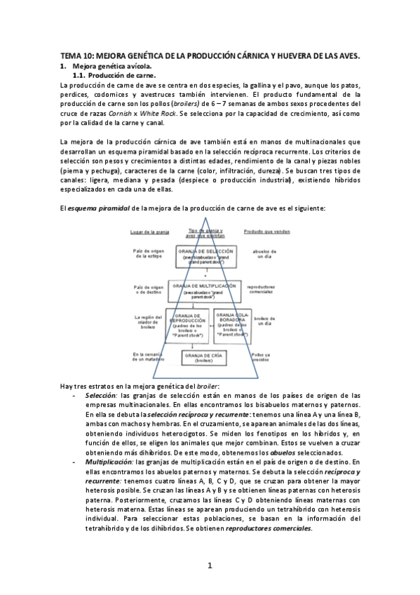 Miniatura del documento Tema-10-Mejora-genetica-de-la-produccion-carnica-y-huevera-de-las-aves.pdf