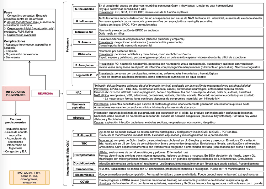 Miniatura del documento Screen-Shot-2020-08-23-at-12.png