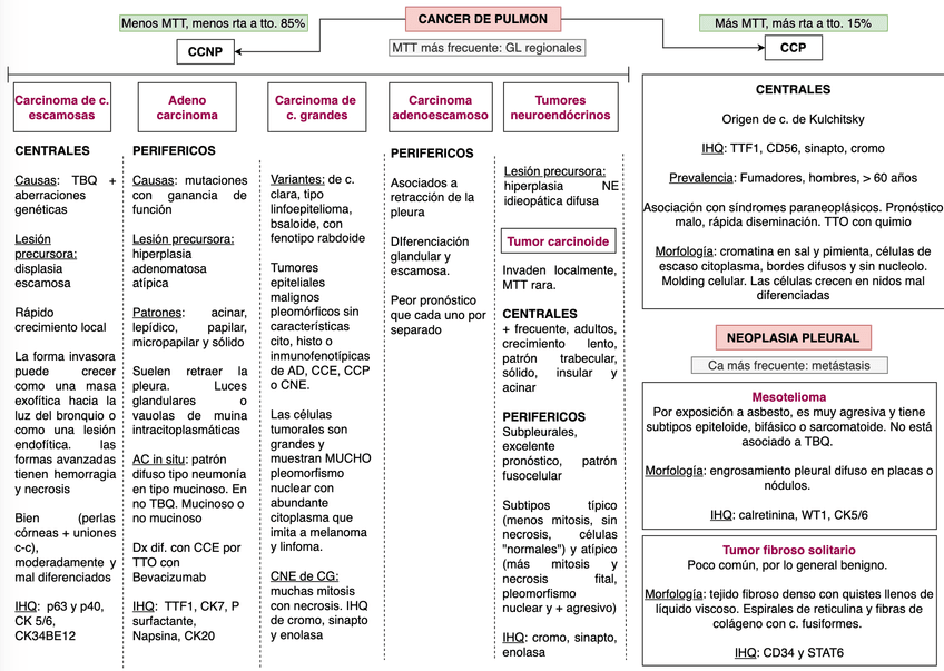 Miniatura del documento Screen-Shot-2020-08-23-at-2.png