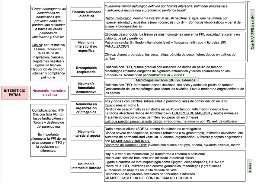 Miniatura del documento Screen-Shot-2020-08-23-at-4.png