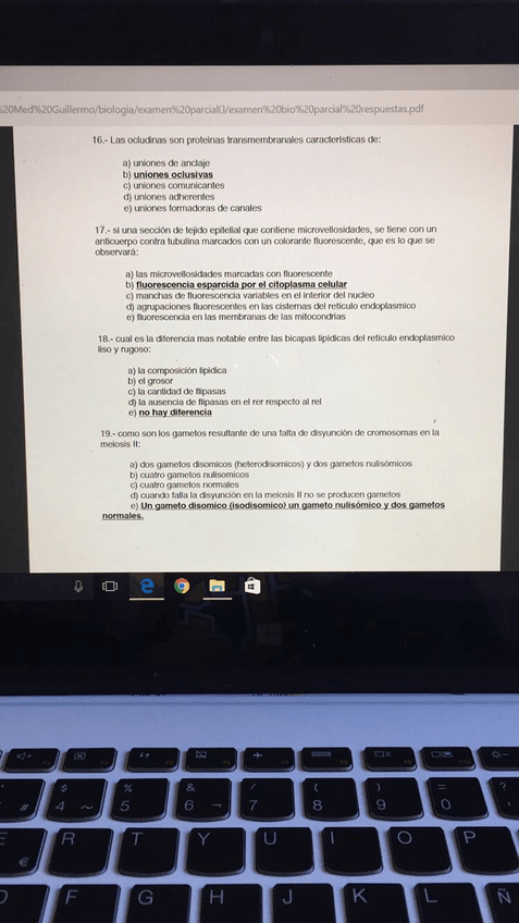 Miniatura del documento IMG1140.jpg