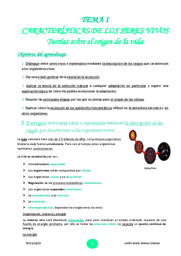 Miniatura del documento TEMA-1.pdf