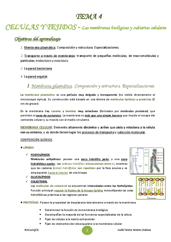 Miniatura del documento TEMA-4.pdf