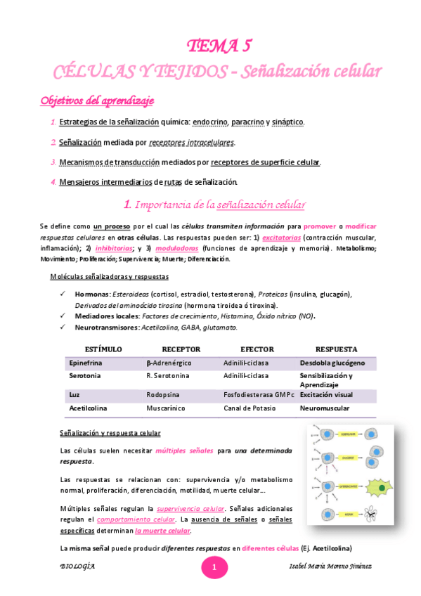 Miniatura del documento TEMA-5.pdf