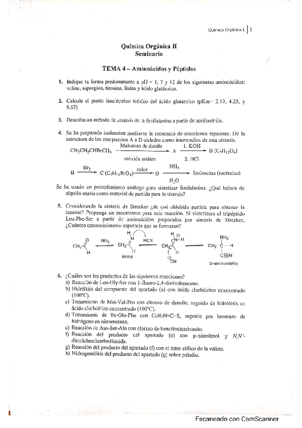 Miniatura del documento Seminario-4-Organica-II.pdf