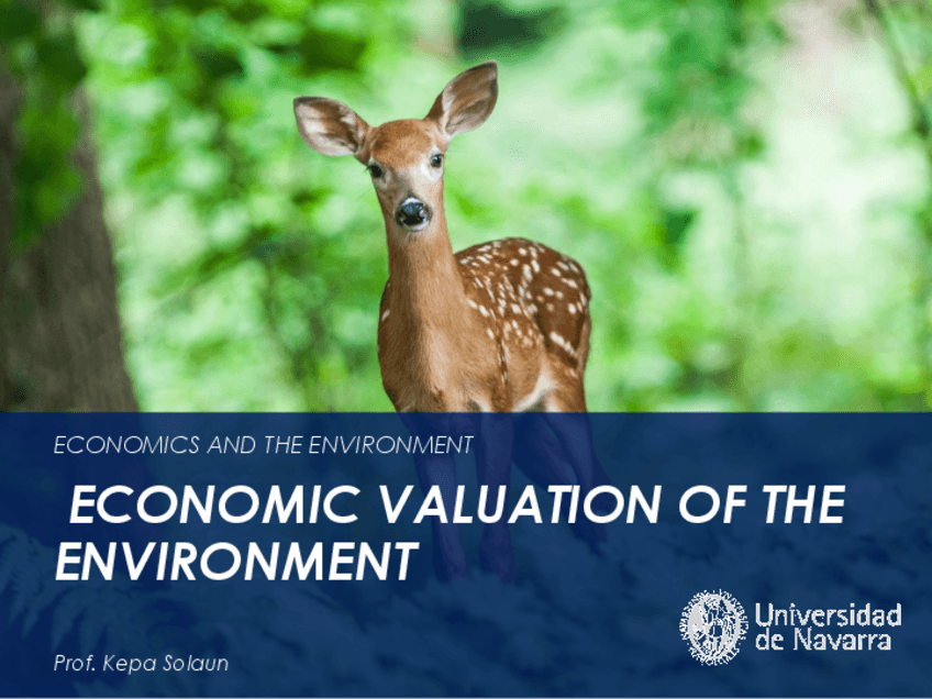 Miniatura del documento 4EnvironmentalValuation.pdf