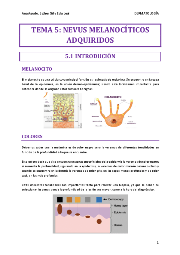 Miniatura del documento TEMA-5-DERMA.pdf