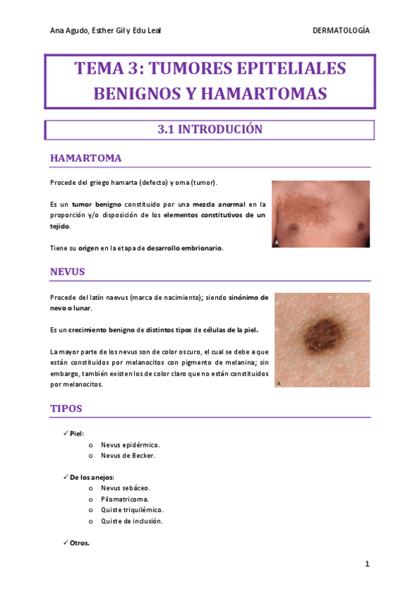 Miniatura del documento TEMA-3-DERMA.pdf