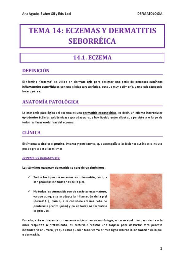 Miniatura del documento TEMA-14-DERMA.pdf