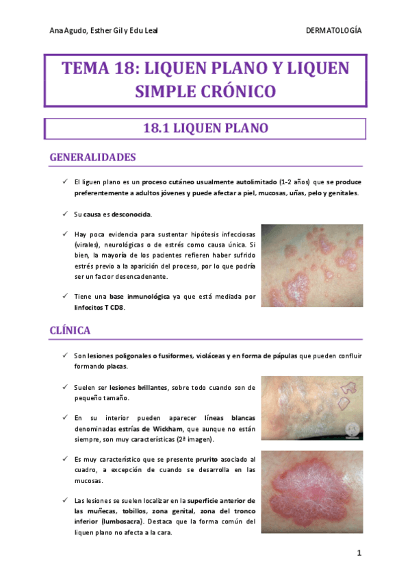 Miniatura del documento TEMA-18-DERMA.pdf