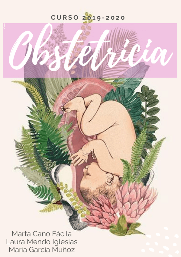 Miniatura del documento PORTADA-OBSTETRICIA.pdf