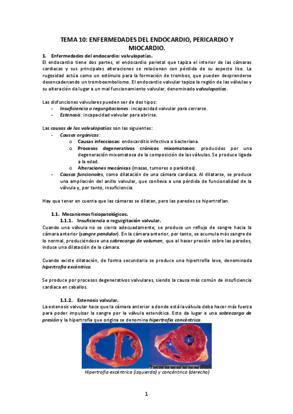 Miniatura del documento Tema-10-Enfermedades-del-endocardio-pericardio-y-miocardio.pdf