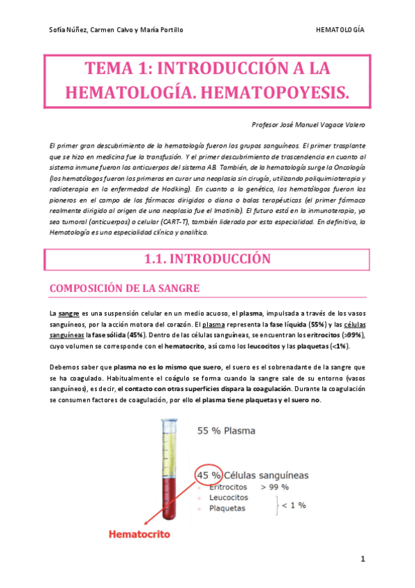 Miniatura del documento HEMATO-TEMA-1.pdf