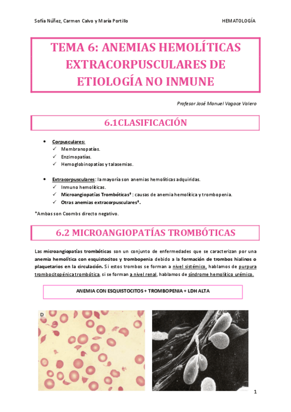 Miniatura del documento HEMATO-TEMA-6.pdf