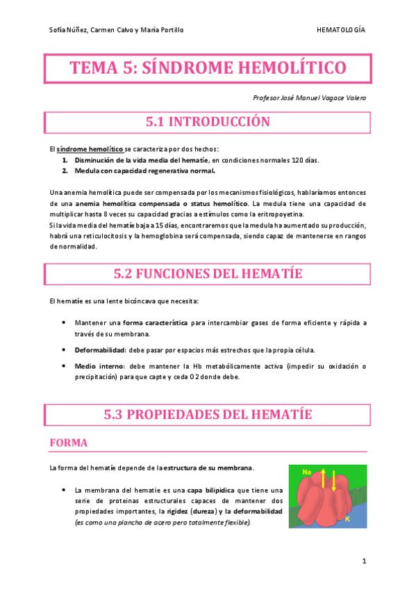 Miniatura del documento HEMATO-TEMA-5.pdf