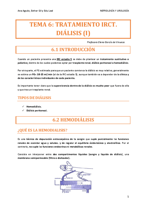 Miniatura del documento NEFRO-TEMA-6.pdf