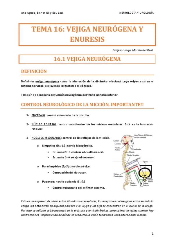 Miniatura del documento URO-TEMA-16.pdf