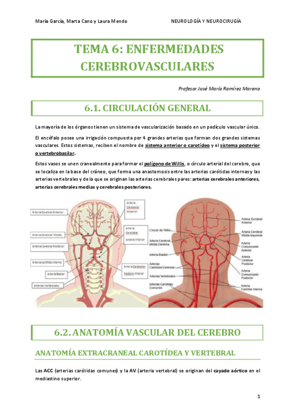 Miniatura del documento NEURO-TEMA-6.pdf