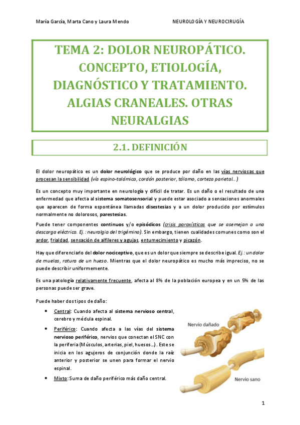 Miniatura del documento NEURO-TEMA-2.pdf