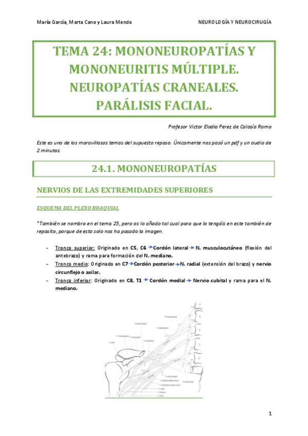 Miniatura del documento NEURO-TEMA-24.pdf