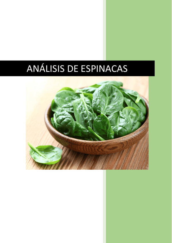 Miniatura del documento informe prácticas.pdf