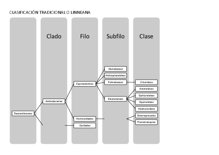 Miniatura del documento Clasificacion.pdf
