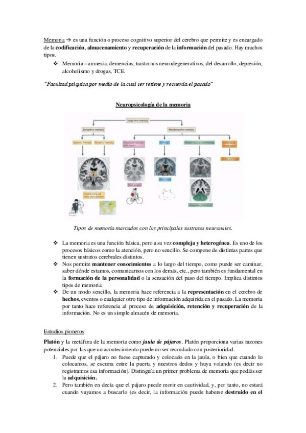 Miniatura del documento Neuropsig.pdf
