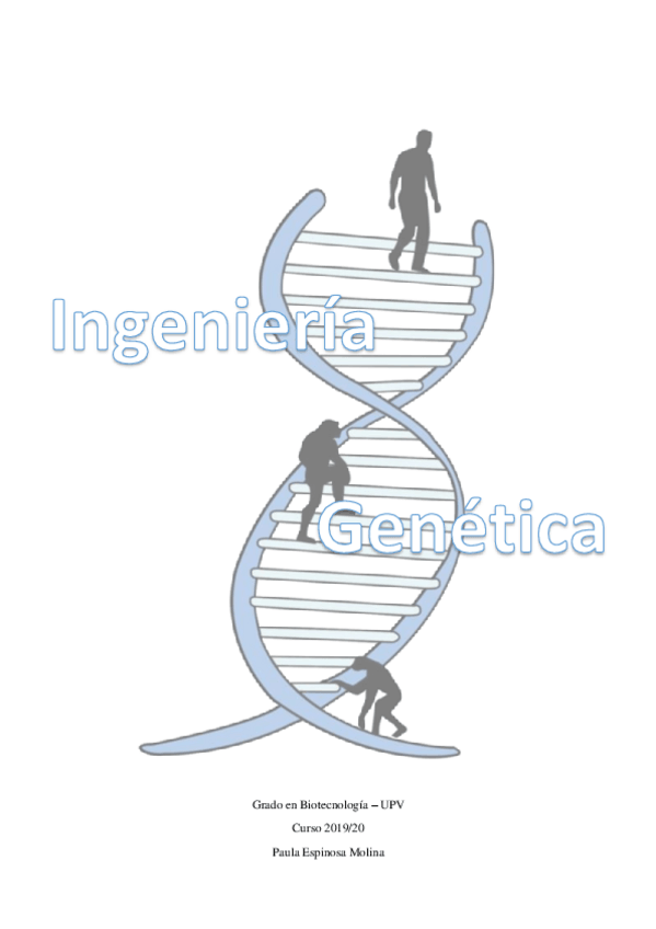 Miniatura del documento IG-Temario-entero-2020.pdf