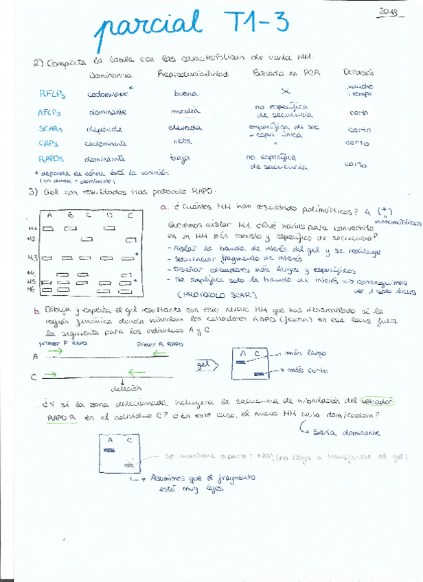Miniatura del documento MM-1o-parcial-2018.pdf