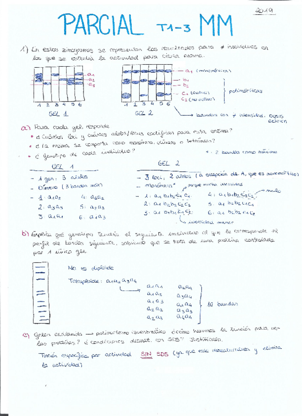 Miniatura del documento MM-1o-parcial-2019.pdf