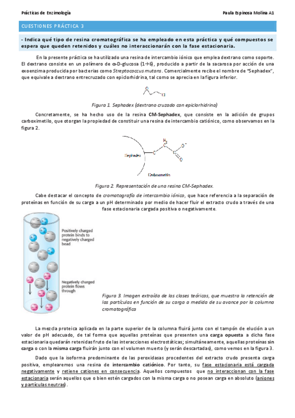 Miniatura del documento Paula-Espinosa-Molina-PL-3-ENZI.pdf