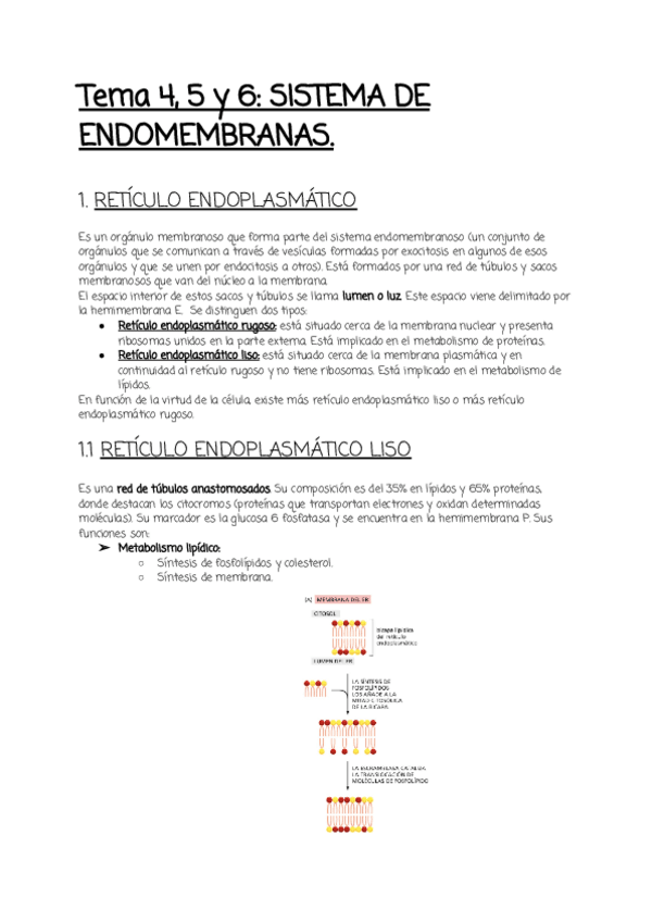 Miniatura del documento Tema-45-y-6.pdf