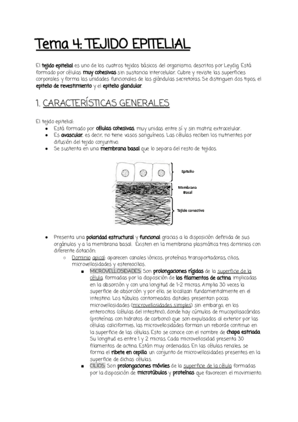 Miniatura del documento Tema-4.pdf