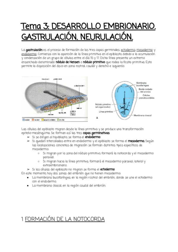 Miniatura del documento Tema-3.pdf