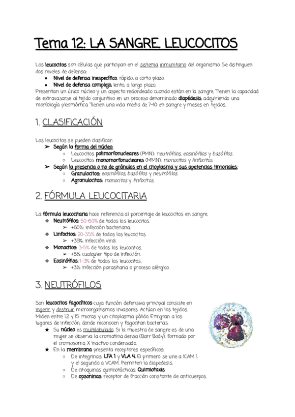 Miniatura del documento Tema-12.pdf