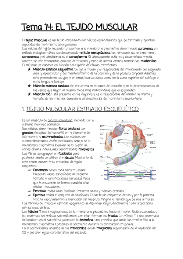 Miniatura del documento Tema-14.pdf