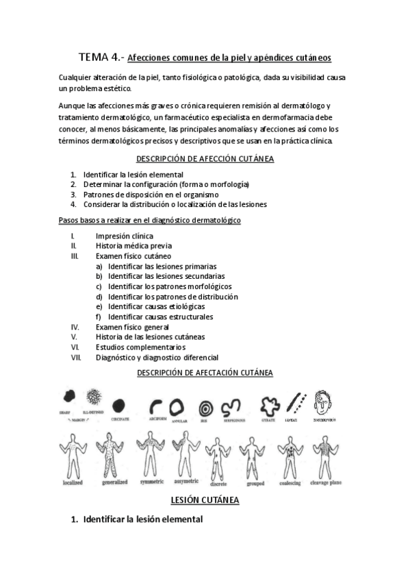 Miniatura del documento TEMA-4-dermo.pdf