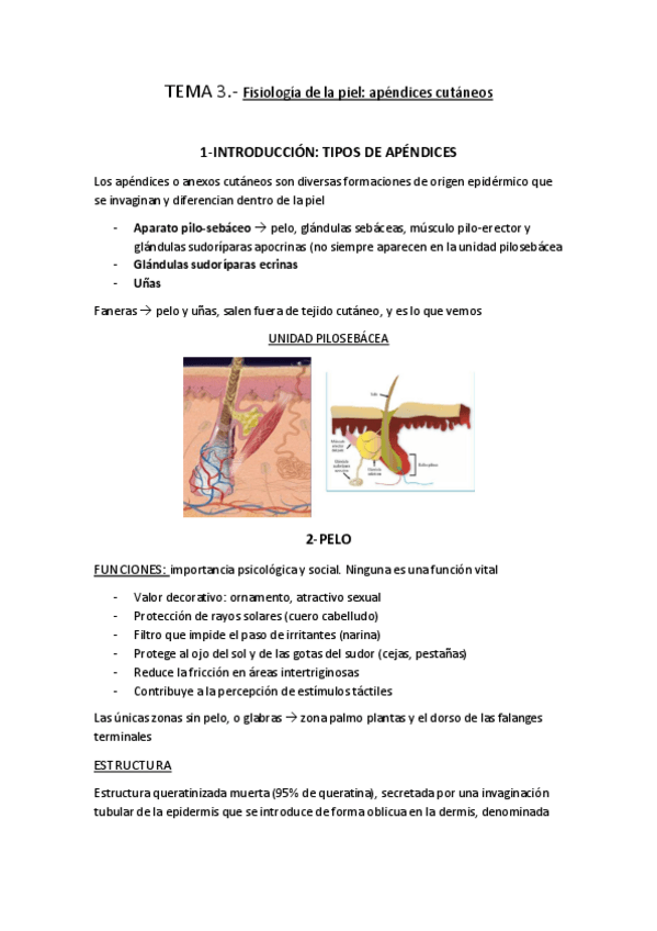 Miniatura del documento TEMA-3-dermo-.pdf