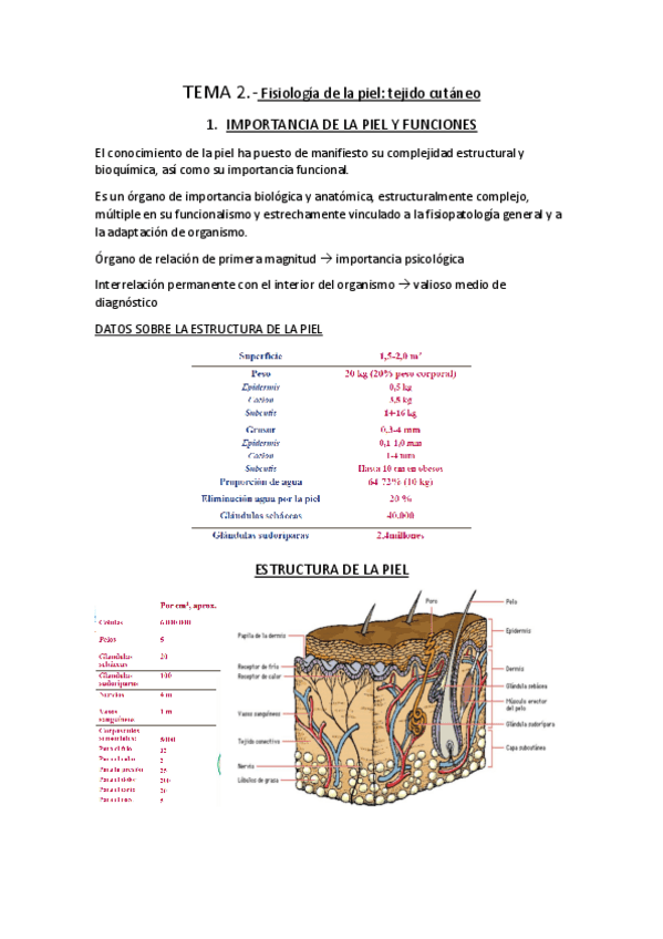 Miniatura del documento TEMA-2-dermo.pdf