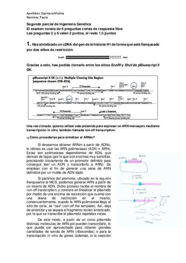 Miniatura del documento Parcial-2-Paula-Espinosa-Molina.pdf