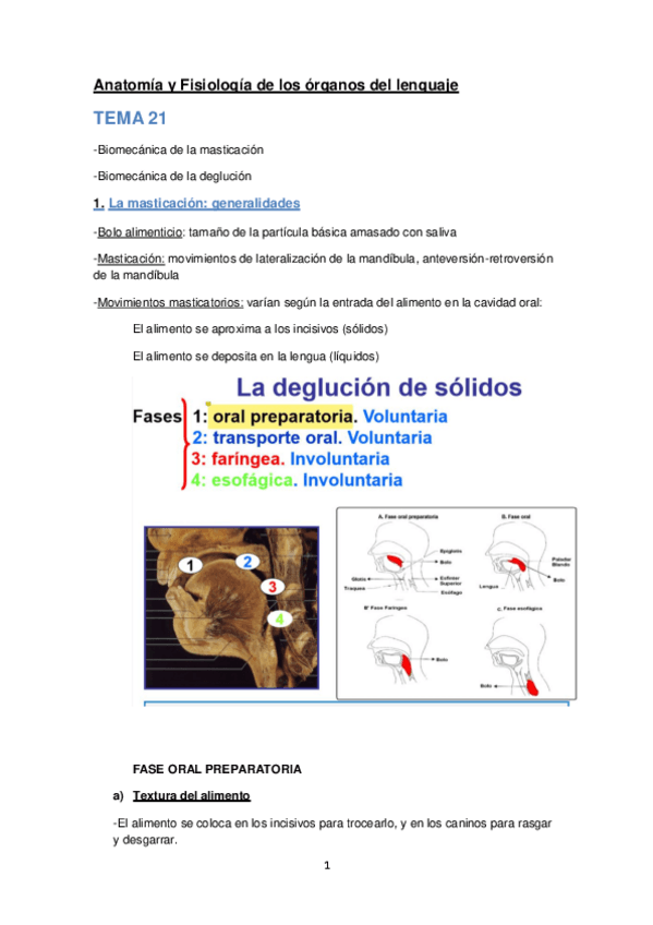 Miniatura del documento pdfjoiner-21-31.pdf