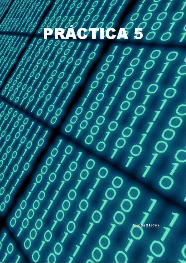 Miniatura del documento Practica-5-apuntesxlacara.pdf