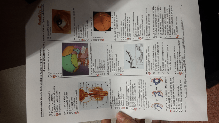 Miniatura del documento 3.jpg