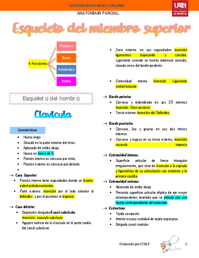 Miniatura del documento HuesosMiembroSuperior.pdf