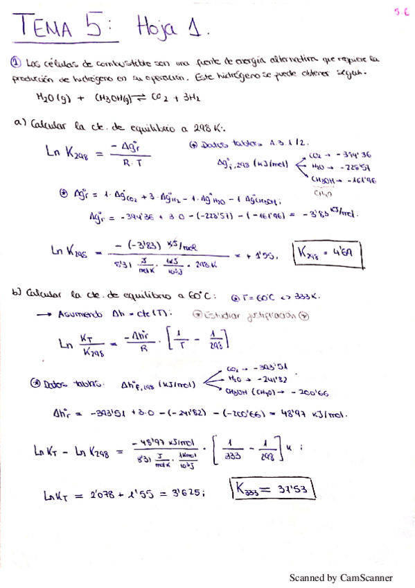 Miniatura del documento Termo.pdf