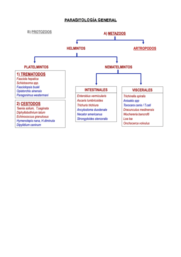 Miniatura del documento Parasitologia-general.pdf