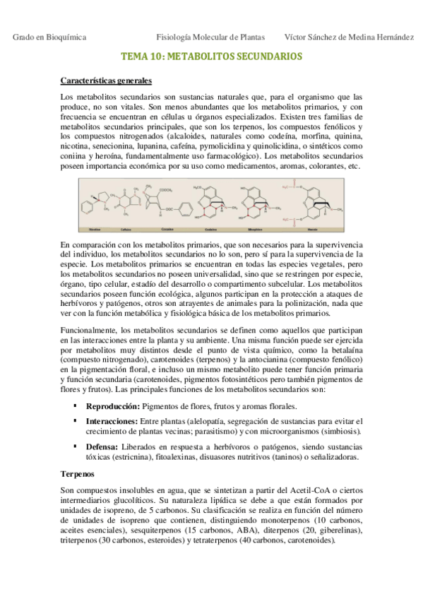 Miniatura del documento Tema 10. Metabolitos secundarios VSM.pdf